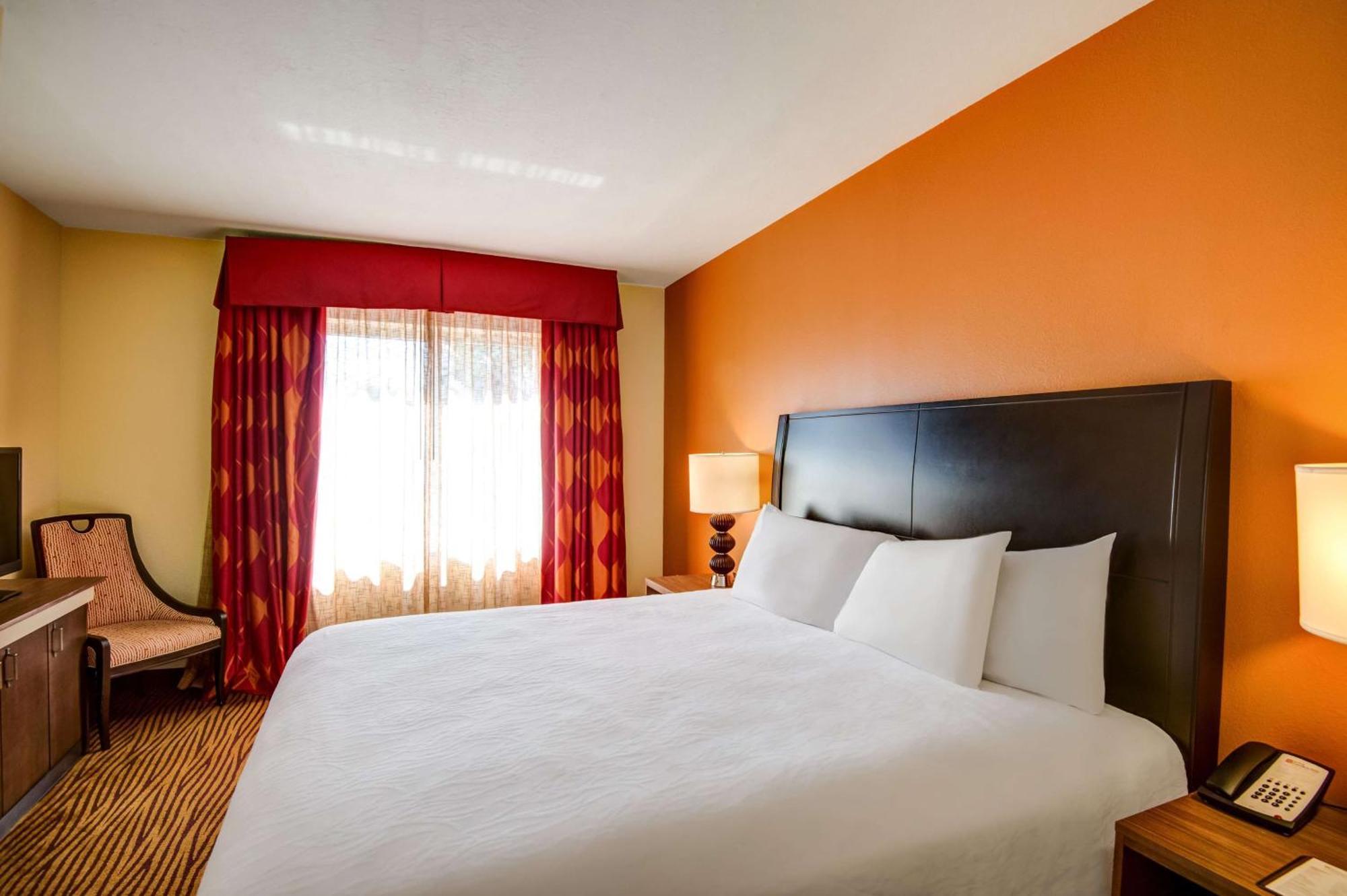 Hilton Garden Inn Tampa Ybor Historic District Экстерьер фото